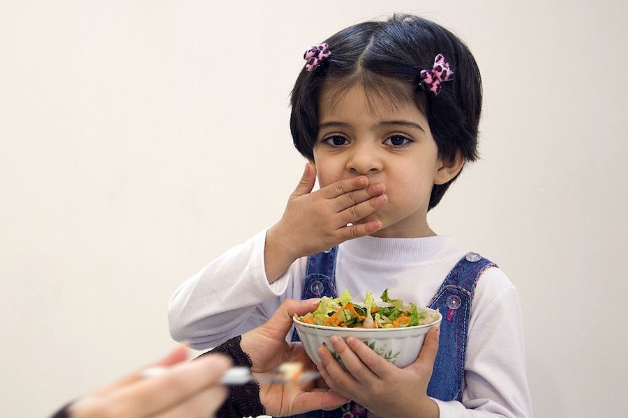 O autista, a seletividade alimentar e os estímulos sensoriais — Portal da Tismoo